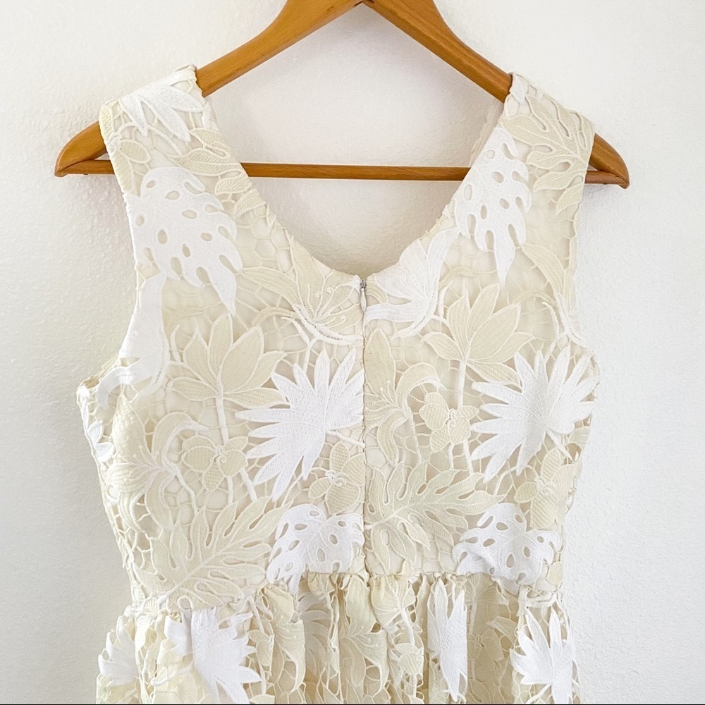 Dress the Population White and Cream Lace Midi Dress - Picture 6 of 8